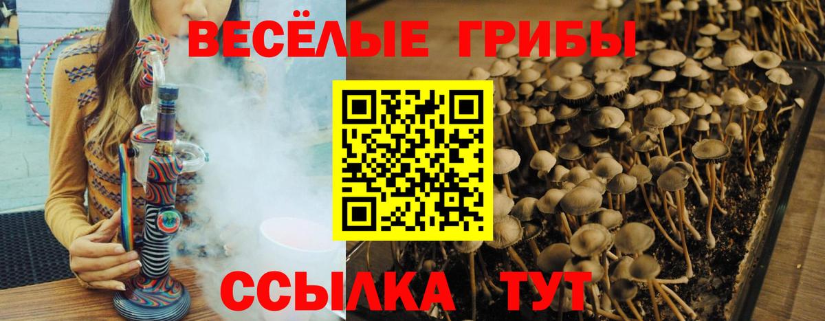 Приморско-Ахтарск  Псилоцибиновые грибы ЛСД  Вход с VPN  Галлюциногенные грибы Cubensis 
